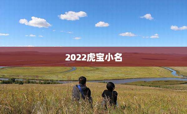2022虎宝小名