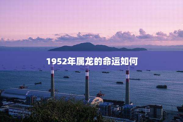 1952年属龙的命运如何