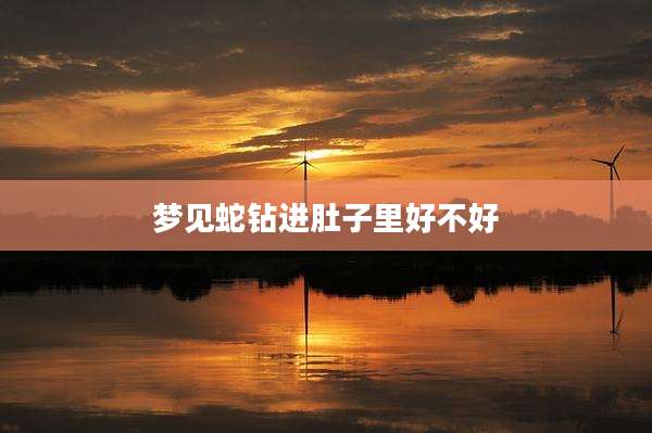 梦见蛇钻进肚子里好不好