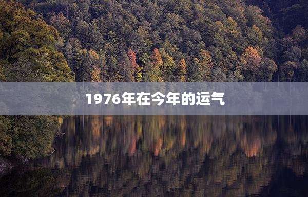1976年在今年的运气