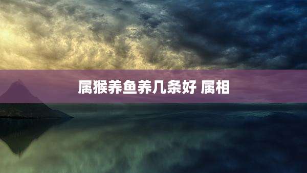 属猴养鱼养几条好 属相