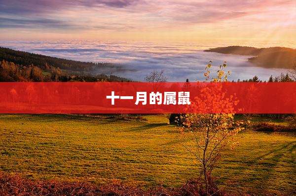 十一月的属鼠