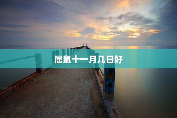 属鼠十一月几日好