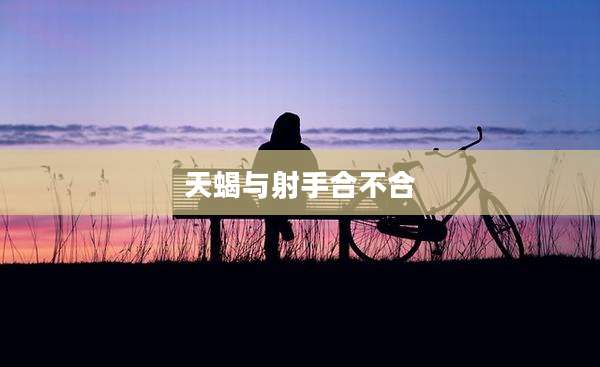 天蝎与射手合不合