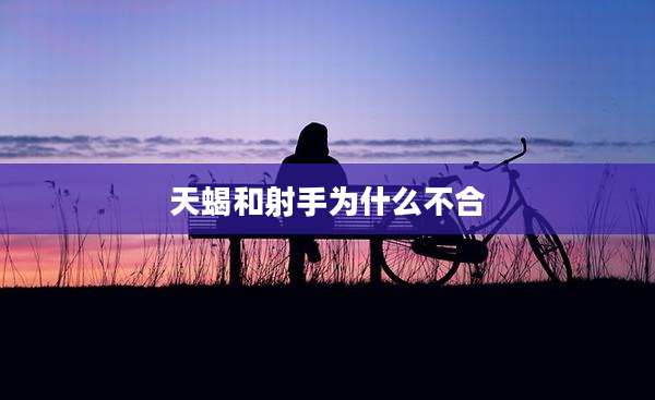 天蝎和射手为什么不合