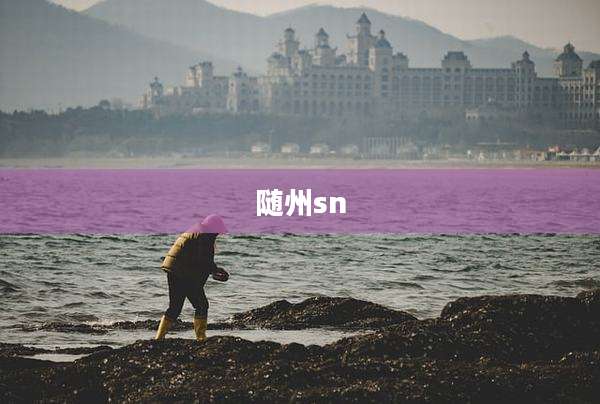 随州sn