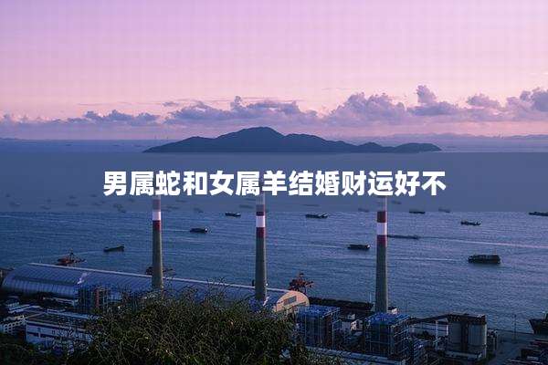 男属蛇和女属羊结婚财运好不
