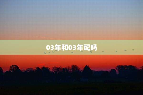 03年和03年配吗