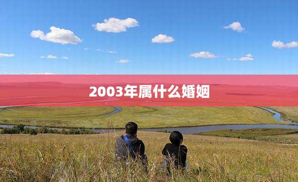 2003年属什么婚姻