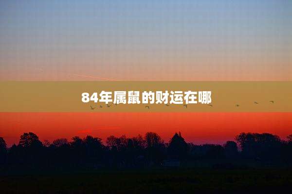 84年属鼠的财运在哪