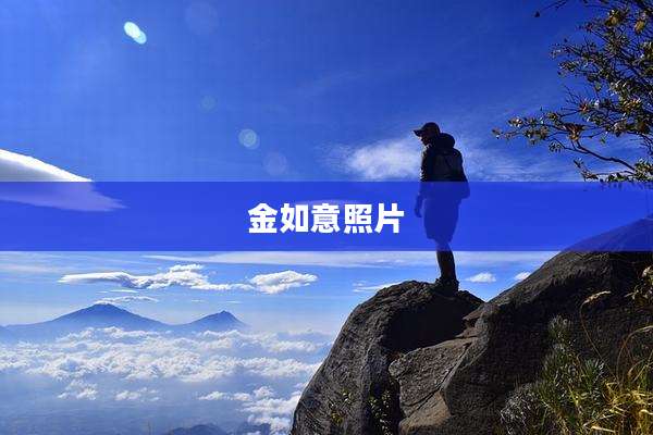 金如意照片