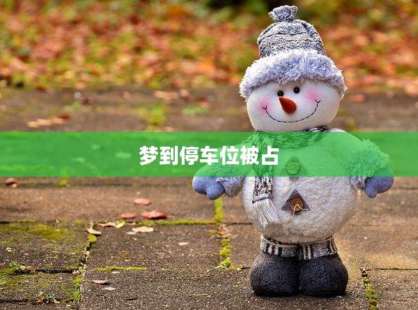 梦到停车位被占
