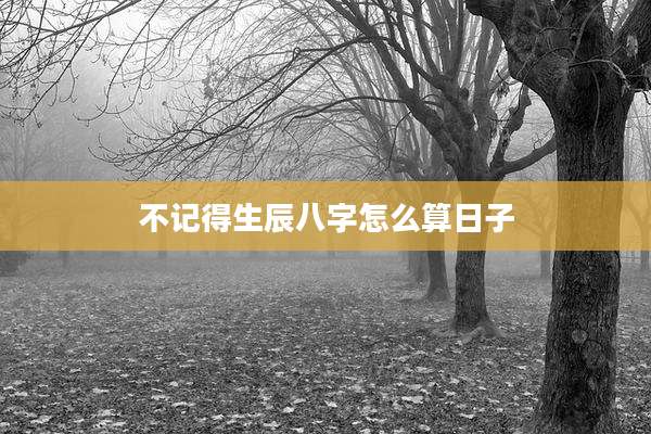不记得生辰八字怎么算日子