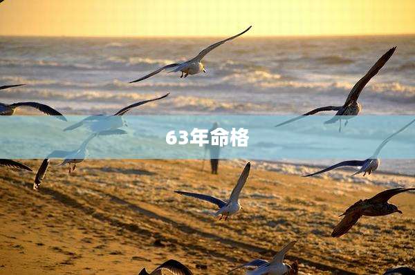 63年命格