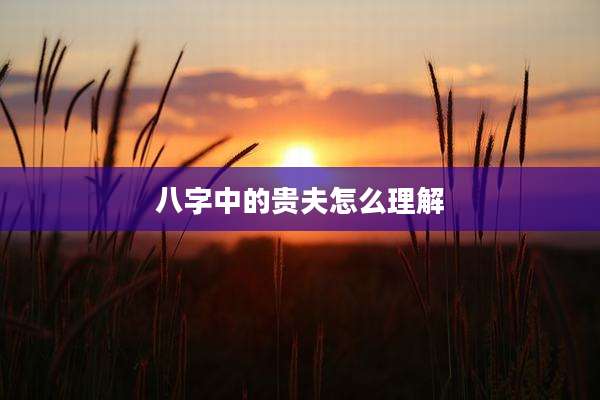 八字中的贵夫怎么理解