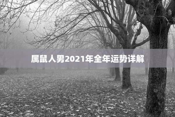 属鼠人男2021年全年运势详解