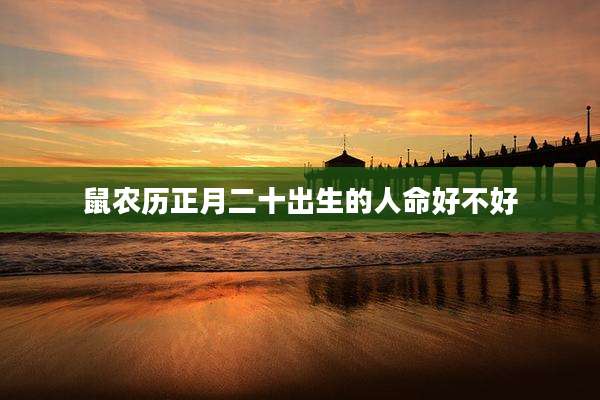 鼠农历正月二十出生的人命好不好
