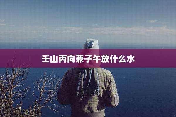 壬山丙向兼子午放什么水