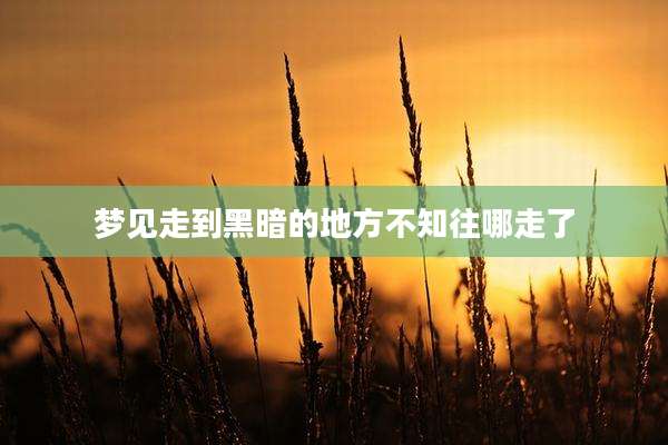 梦见走到黑暗的地方不知往哪走了