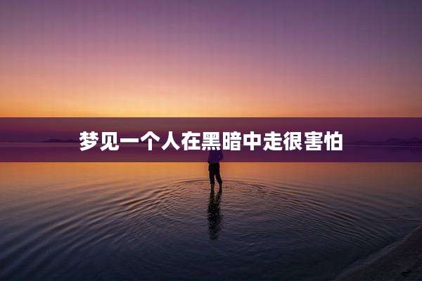 梦见一个人在黑暗中走很害怕