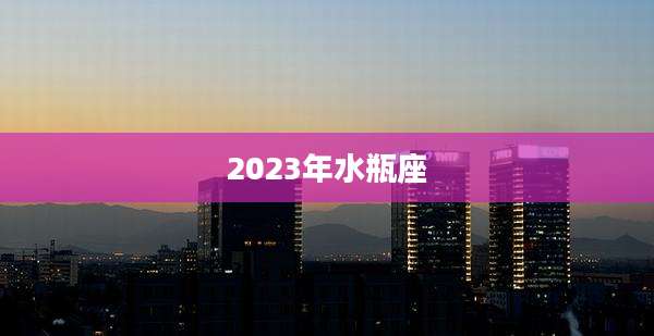 2023年水瓶座