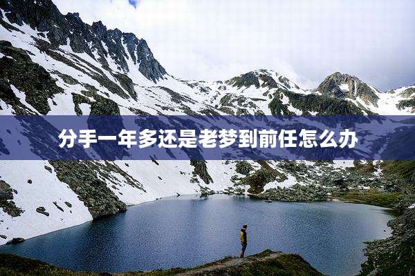 分手一年多还是老梦到前任怎么办