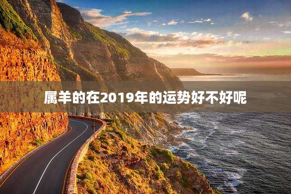 属羊的在2019年的运势好不好呢