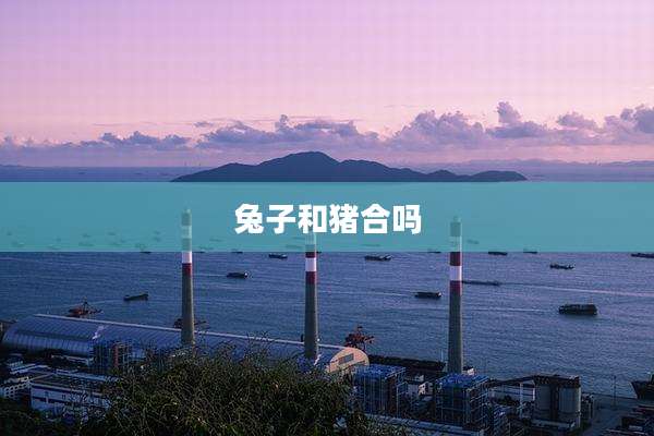 兔子和猪合吗