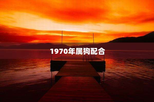 1970年属狗配合