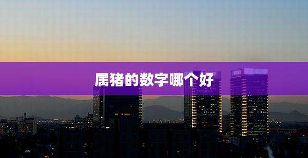 属猪的数字哪个好
