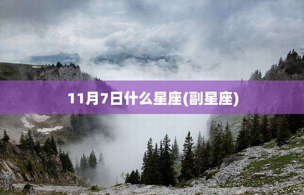 11月7日什么星座(副星座)