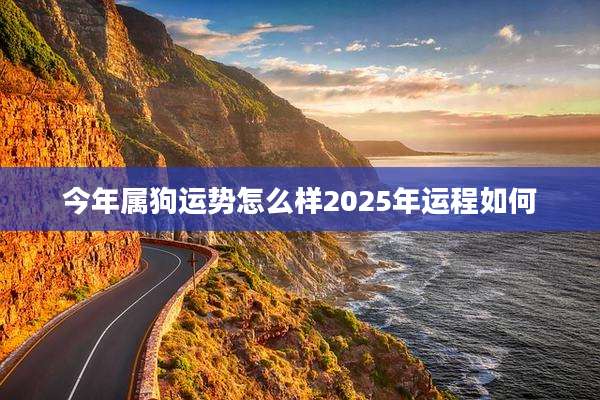 今年属狗运势怎么样2025年运程如何