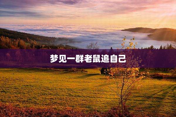 梦见一群老鼠追自己