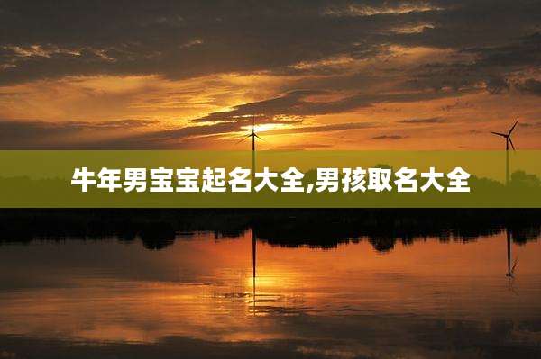 牛年男宝宝起名大全,男孩取名大全