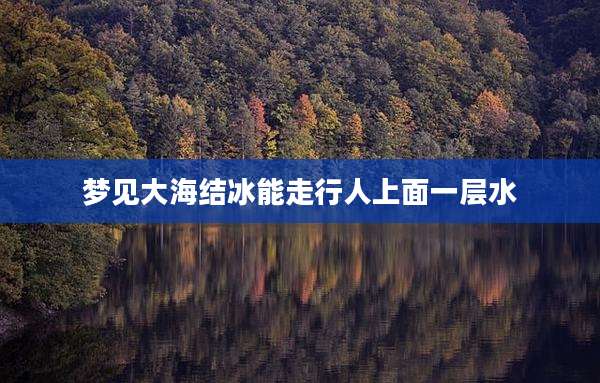 梦见大海结冰能走行人上面一层水