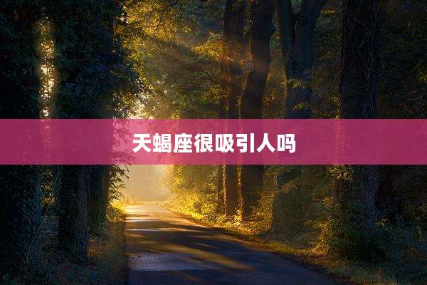 天蝎座很吸引人吗