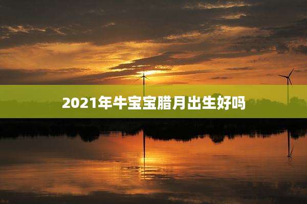 2021年牛宝宝腊月出生好吗