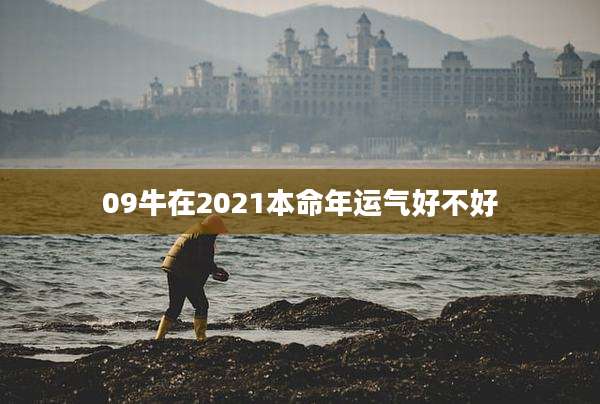 09牛在2021本命年运气好不好