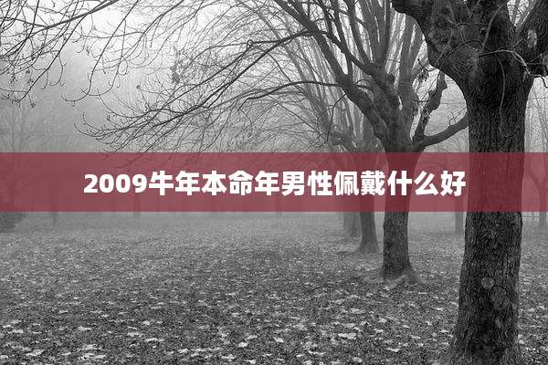 2009牛年本命年男性佩戴什么好