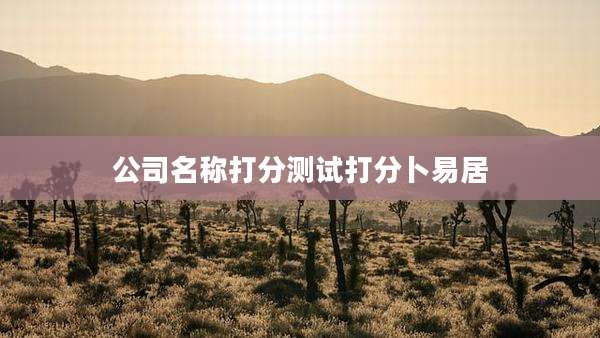 公司名称打分测试打分卜易居