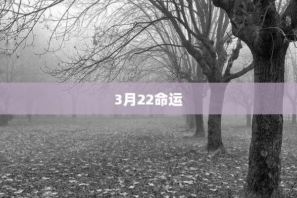 3月22命运