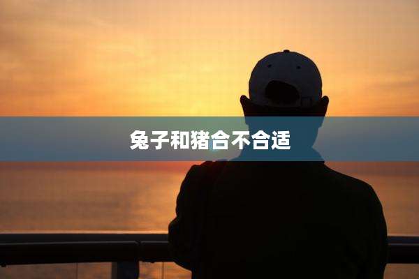 兔子和猪合不合适