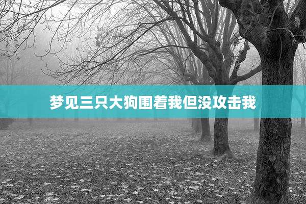 梦见三只大狗围着我但没攻击我