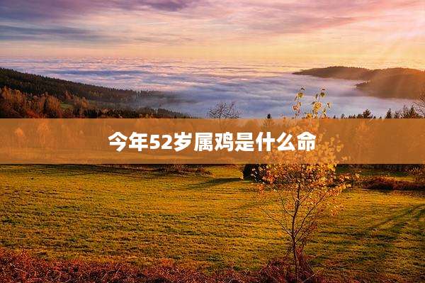 今年52岁属鸡是什么命