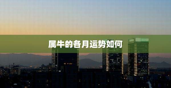 属牛的各月运势如何