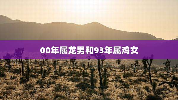00年属龙男和93年属鸡女