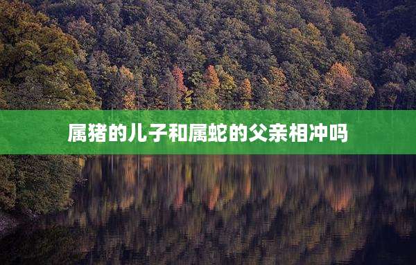 属猪的儿子和属蛇的父亲相冲吗