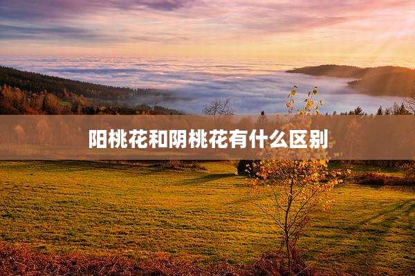 阳桃花和阴桃花有什么区别