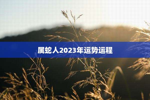 属蛇人2023年运势运程