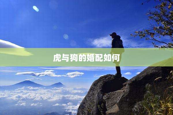 虎与狗的婚配如何